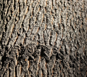 Similar image 660406