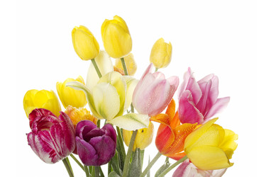 Similar image 660415