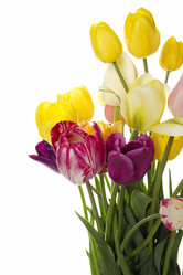 Similar image 660417