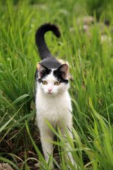 Similar image 660419