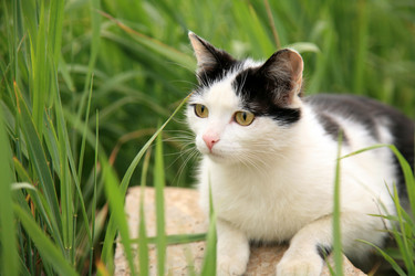 Similar image 660420