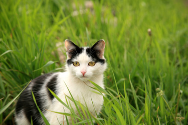 Similar image 660421