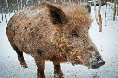 Similar image 660425