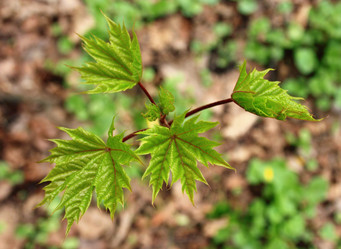 Similar image 660429