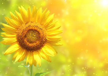 Similar image 660437