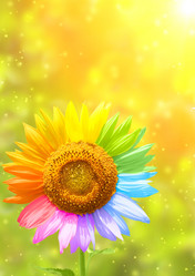 Similar image 660439