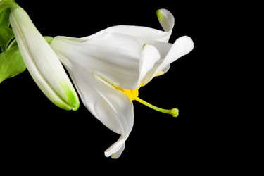 Similar image 660447