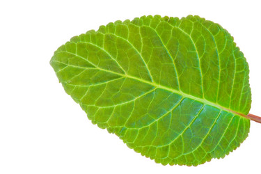 Similar image 660449