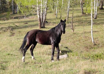 Similar image 660450