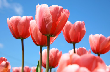 Similar image 660455