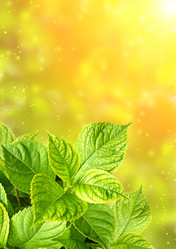 Similar image 660457