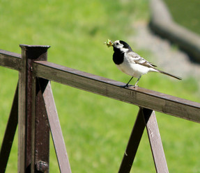 Similar image 660489