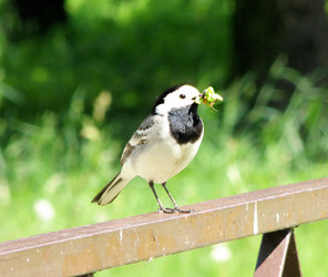 Similar image 660491