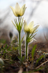 Similar image 660508