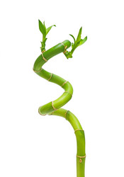 Similar image 660517