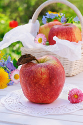 Similar image 660562