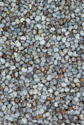 Similar image 660605