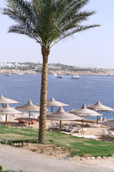 Similar image 660638