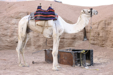 Similar image 660640