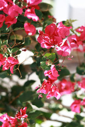 Similar image 660653