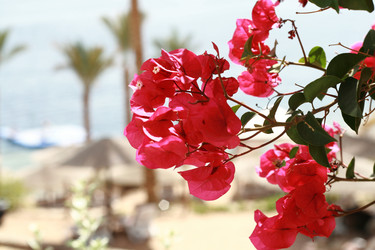 Similar image 660654