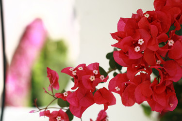 Similar image 660655