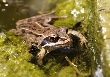 Similar image 660680