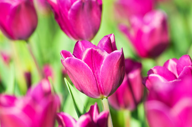 Similar image 660724