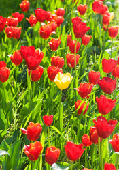 Similar image 660725