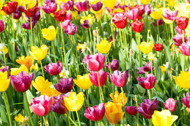 Similar image 660726