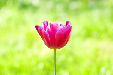 Similar image 660727