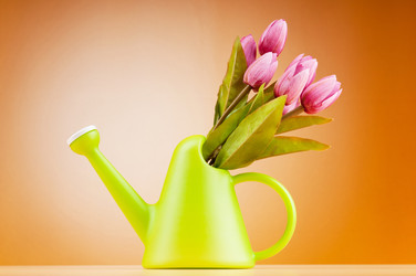 Similar image 660730