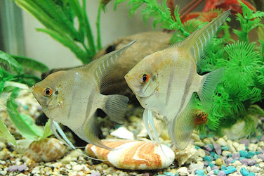 Similar image 660762