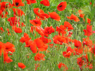 Similar image 660775