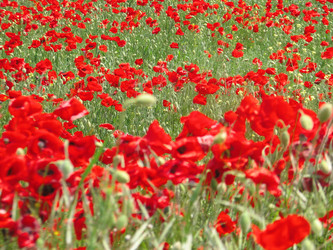 Similar image 660776