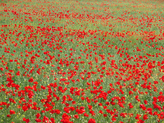 Similar image 660777