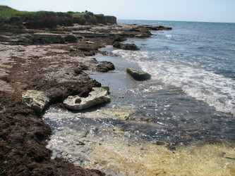 Similar image 660779