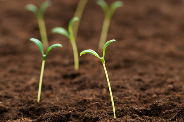 Similar image 660910