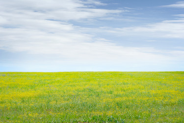 Similar image 660933