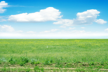 Similar image 660936