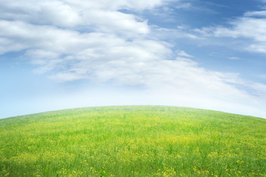 Similar image 660940