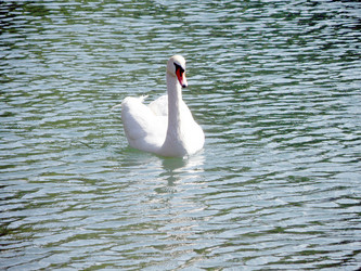 Similar image 660968