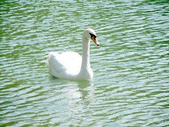 Similar image 660969