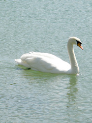 Similar image 660971