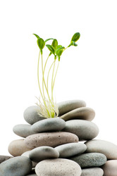 Similar image 660978