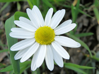 Similar image 660981