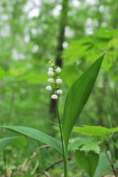 Similar image 660982