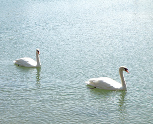 Similar image 660984