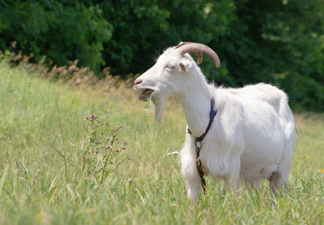 Similar image 661001