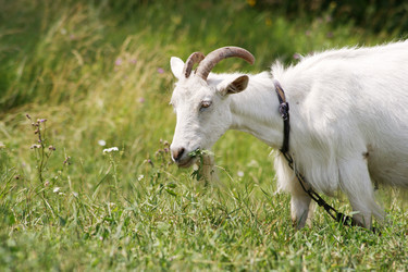 Similar image 661003